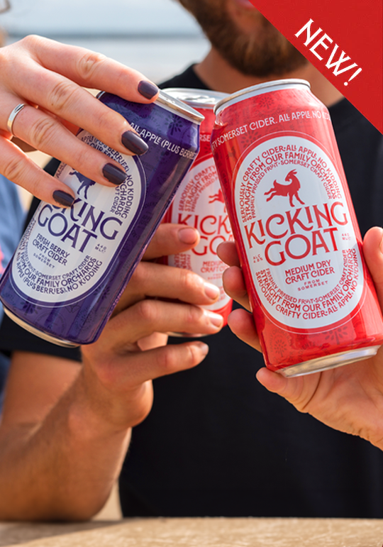 Order Kicking Goat Cider Fresh Berry in 440ml cans